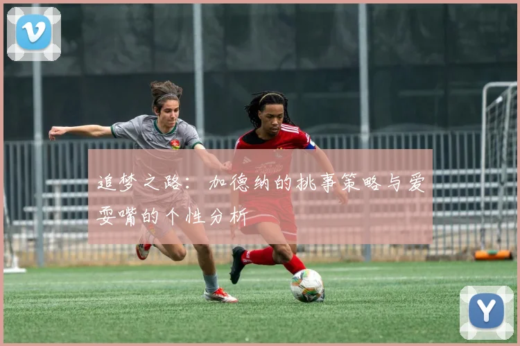 追梦之路：加德纳的挑事策略与爱耍嘴的个性分析