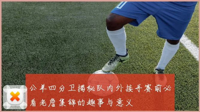 公羊四分卫揭秘队内外接手赛前必看老詹集锦的趣事与意义