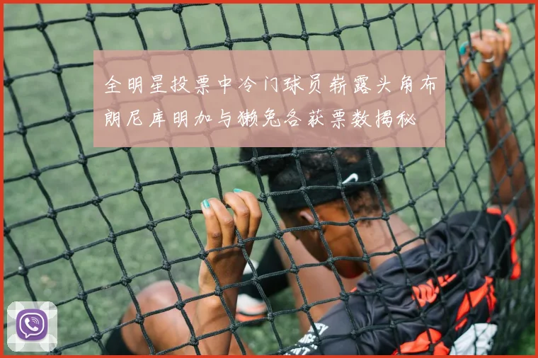 全明星投票中冷门球员崭露头角布朗尼库明加与獭兔各获票数揭秘