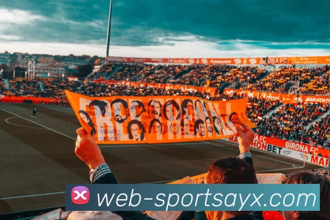 爱游戏APP 封面图